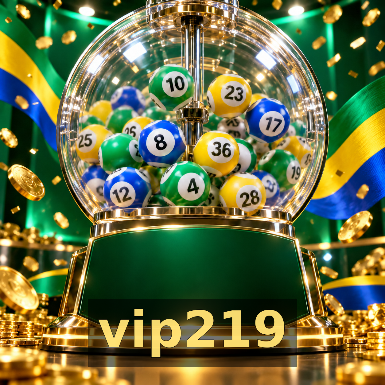 vip219 - Galeria 3