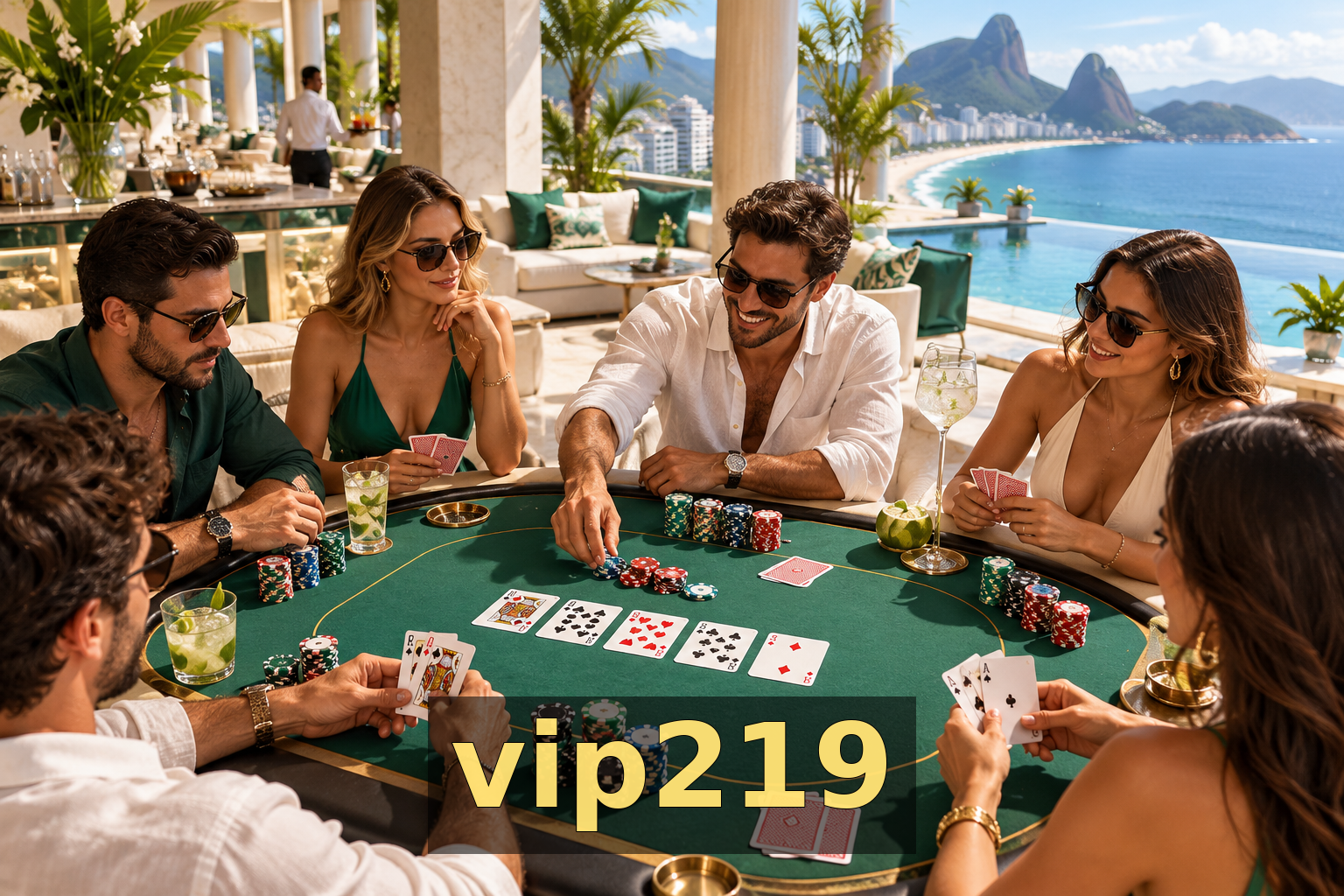 vip219 - Galeria 1